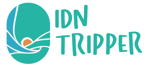 logo idn