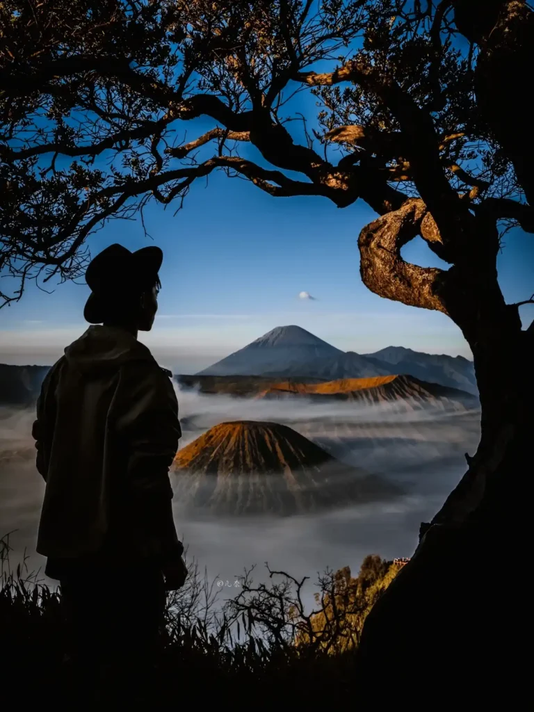 wisata bromo