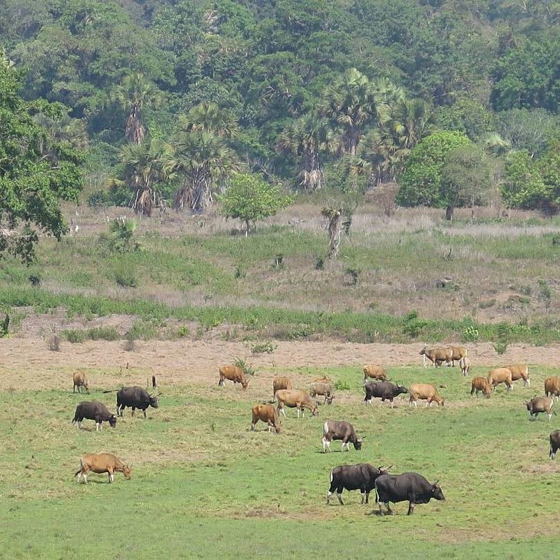 East Java tourism