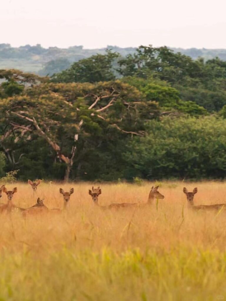 East Java tourism