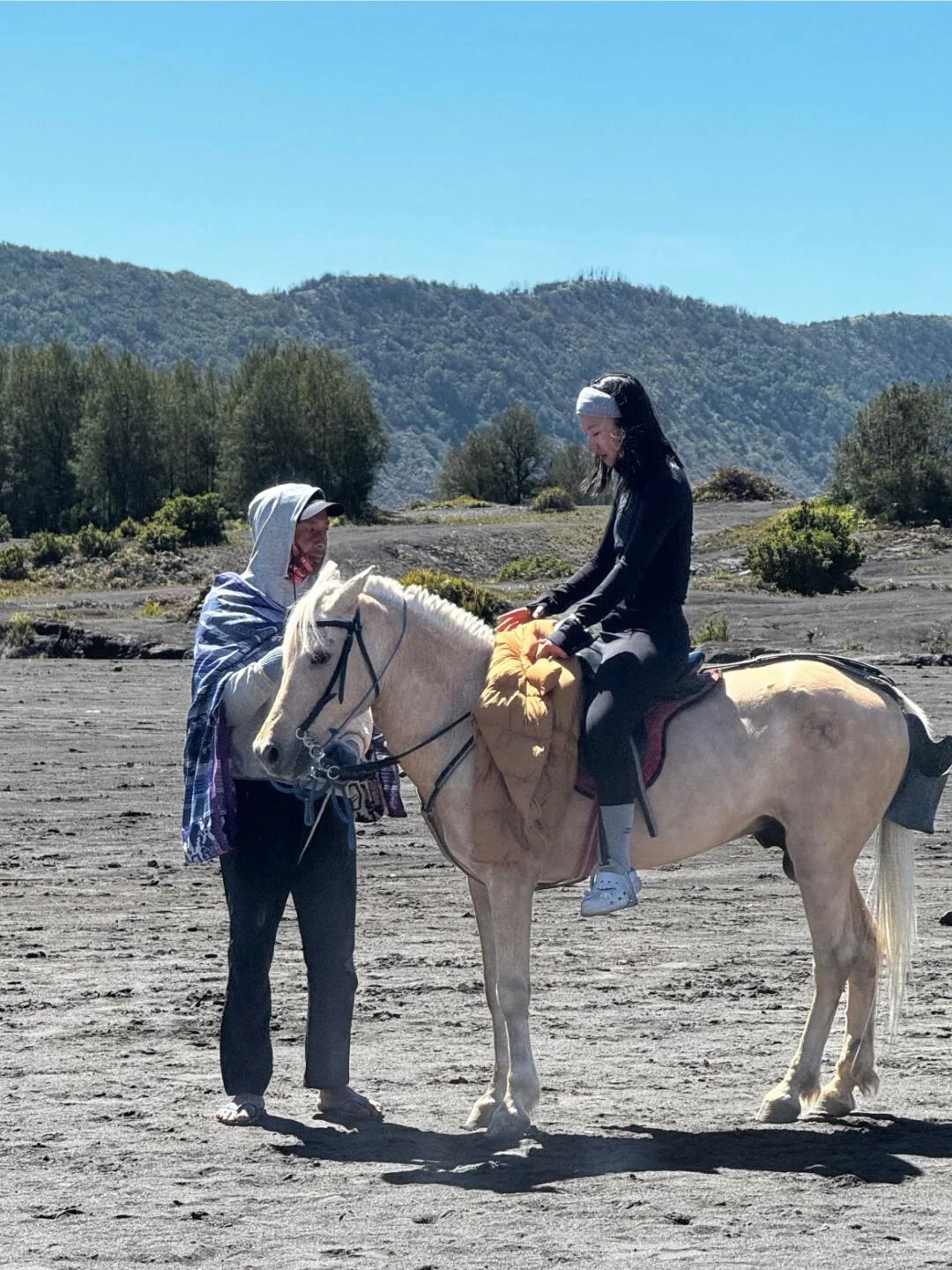 kuda Bromo