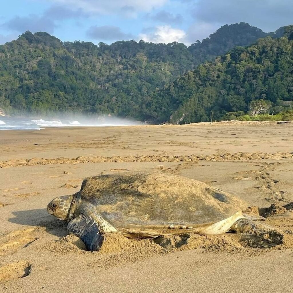 East Java tourism